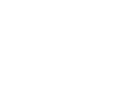 Gintvytas